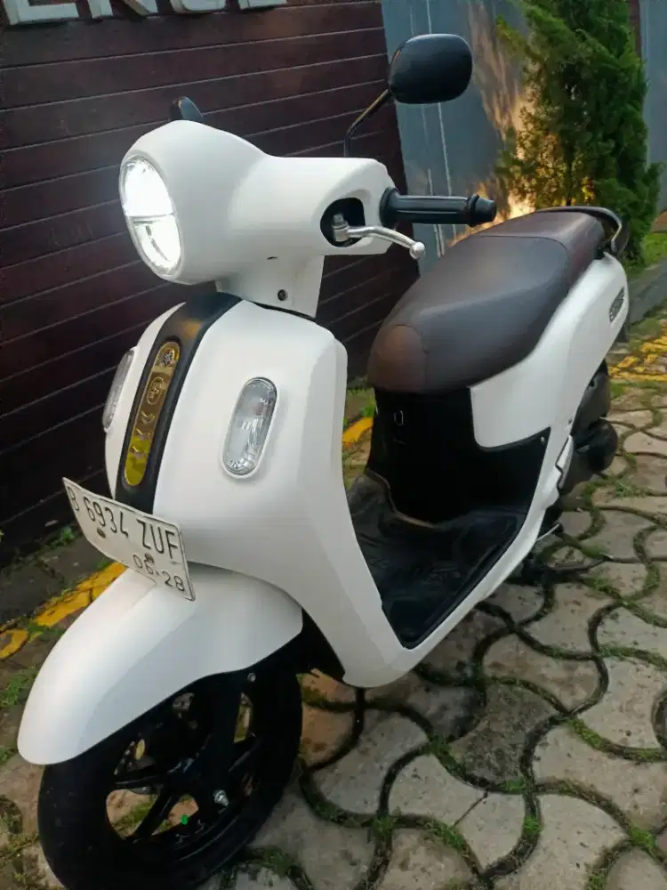DIJUAL FAZZIO LUX KYLESS ORIGINAL