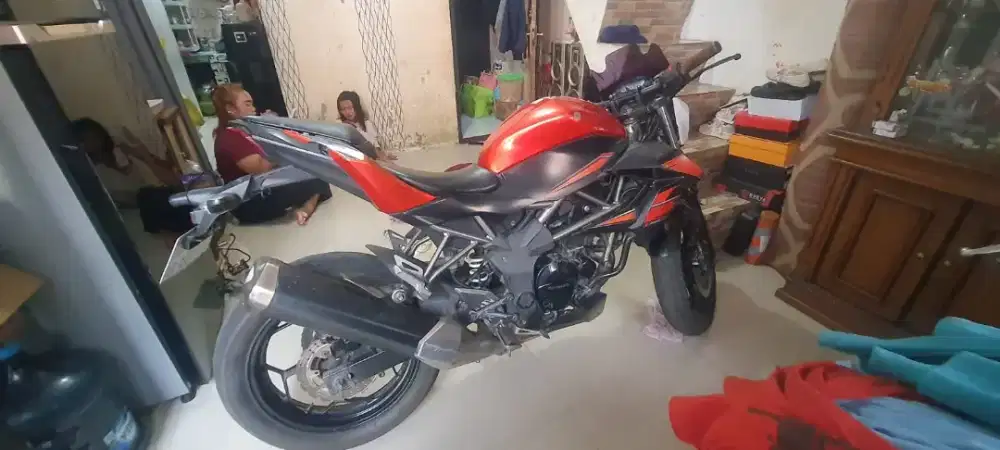 Kawasaki ninja 250 mono sl