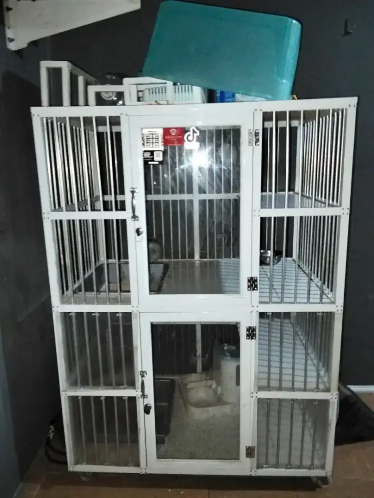 Kandang kucing jarang di pake