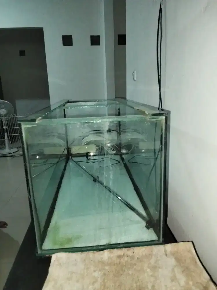 Aquarium ikan masih bagus