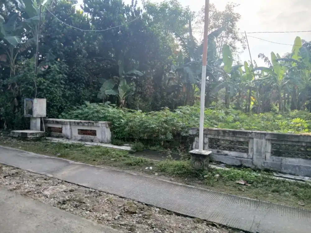 Dijual Tanah Luas Murah di Tawangharjo Purwodadi Nego