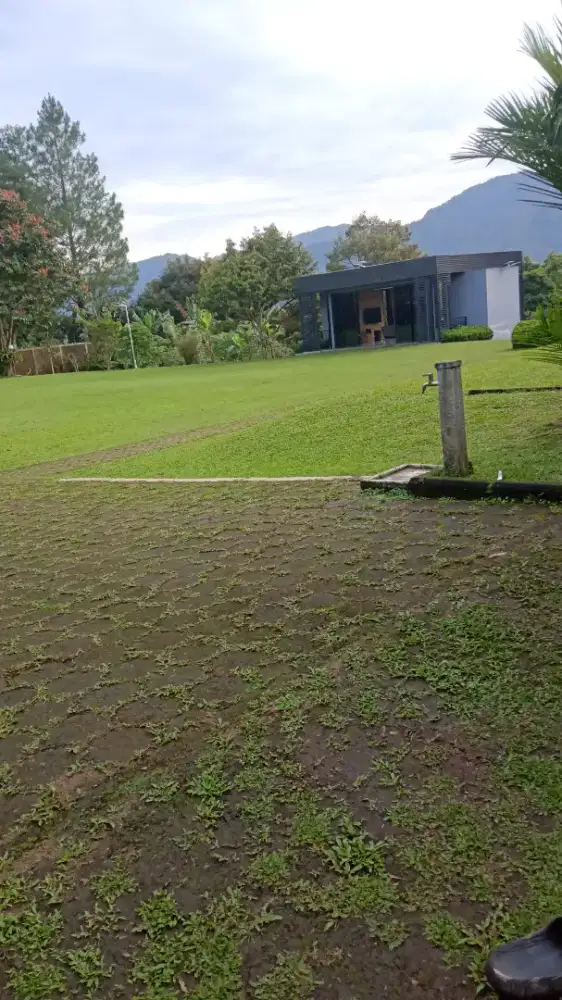 Cari loker art yg fleksibel waktunya