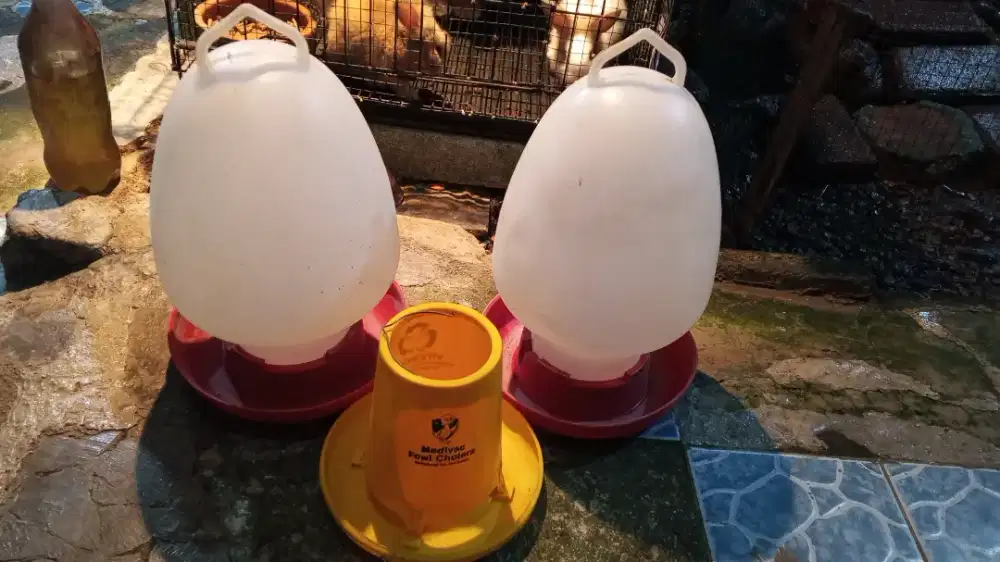 Tempat pakan dan minum unggas