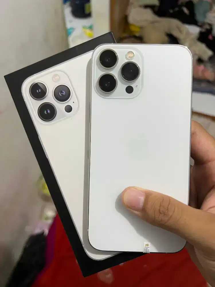 iPhone 13 Pro Max 256GB