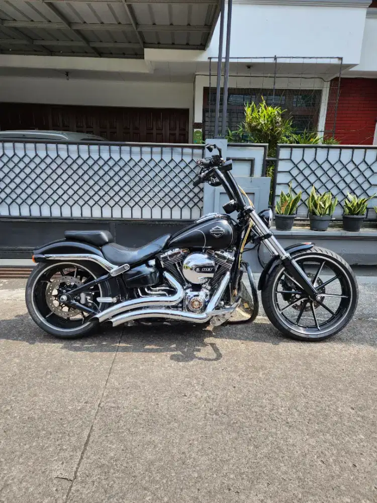 Harley davidson Softail break out