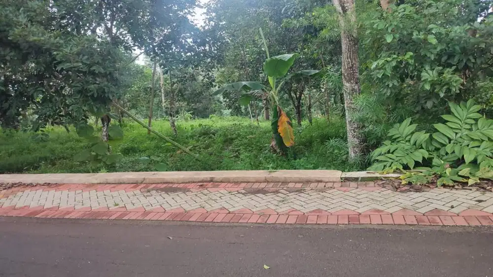 Dijual tanah kebun SHM (tanpa perantara)