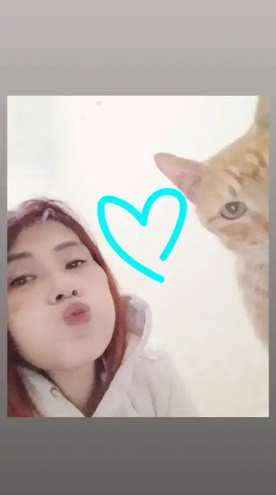 cari kerjaan bayar harian