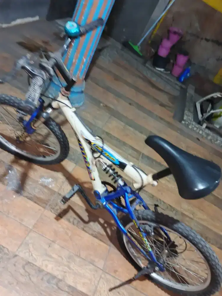 Sepeda Anak BMX