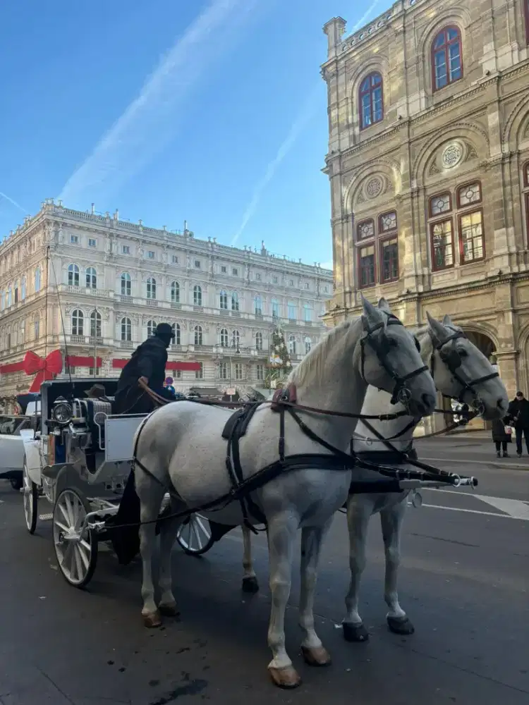 Tukang buat keripik singkong
