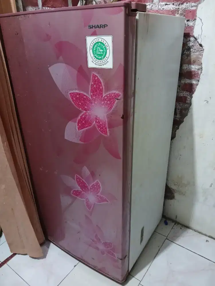 Kulkas SHARP 1 pintu dingin