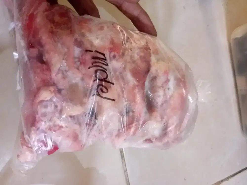 Sayap midle tengah sekilo