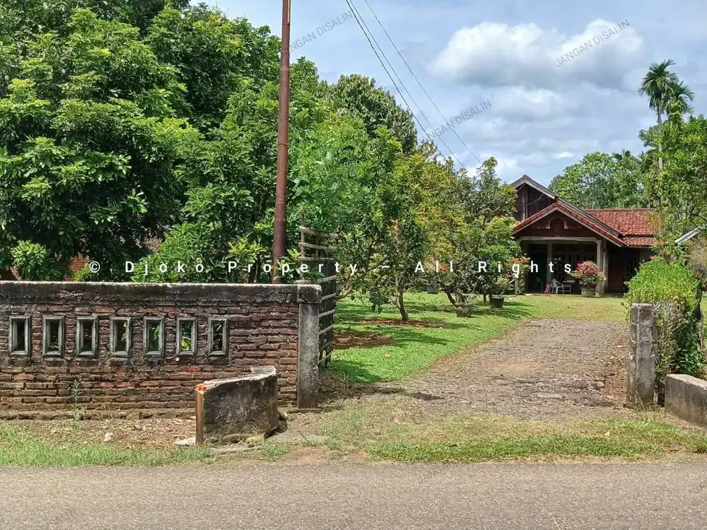 DIJUAL RUMAH + TANAH ASRI LOKASI STRATEGIS BENGKULU