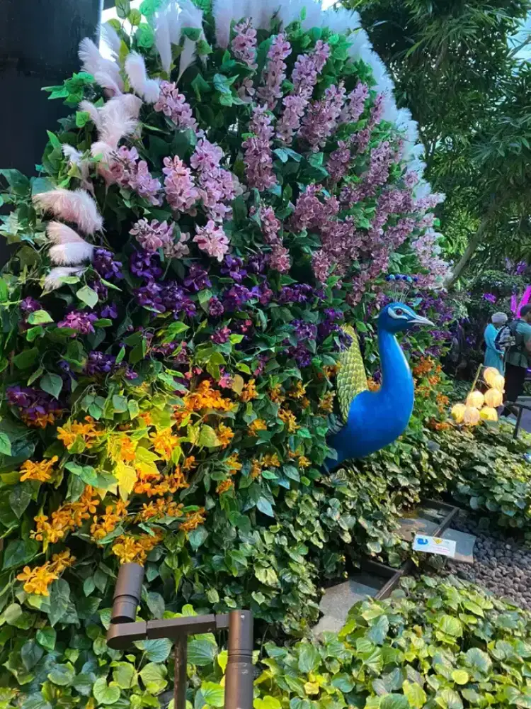 Info loker untuk cewe