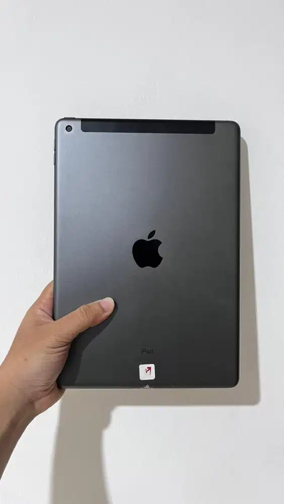 iPad Gen 8 Stuck Restore / Recovery Mode