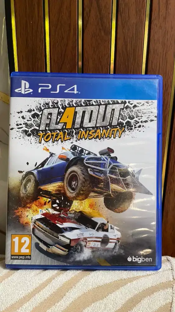 BD PS4-PS5 FLATOUT 4 FL4TOUT
