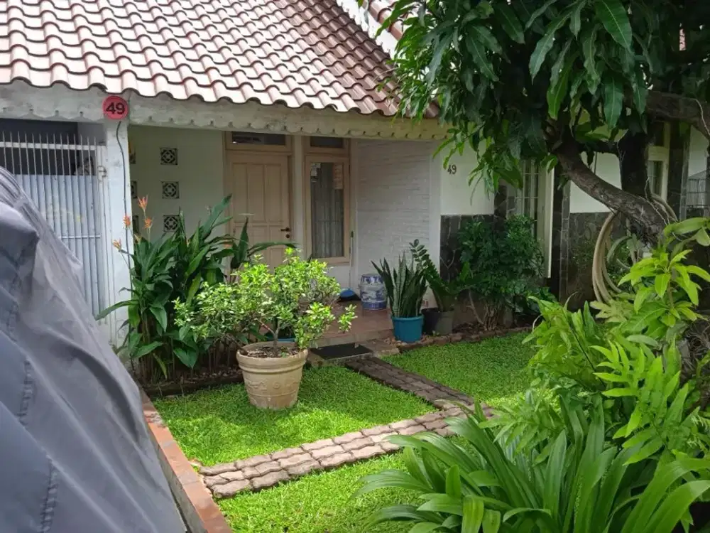Rumah di Cipete Selatan Murah dan Asri
