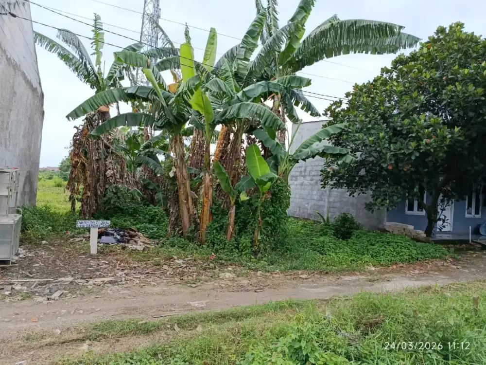 Jual tanah Luas 80m² Cikarang