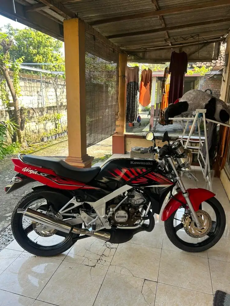 Ninja ss 2014 zebra