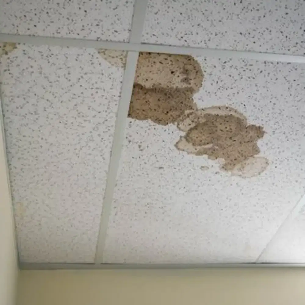 Perbaikan atap bocor dan plavon bercak