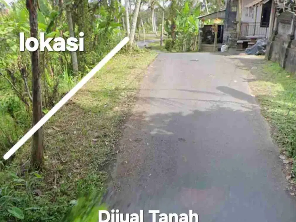 Jual Tanah kebun 33,6are jalan 8 aspal di Payangan Gianyar Ubud Bali