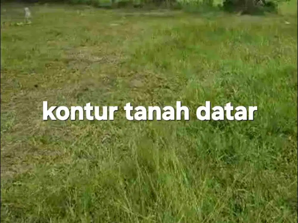 Jual Tanah kebun 33,6are jalan 8 aspal di Payangan Gianyar Ubud Bali - Thumbnail 6