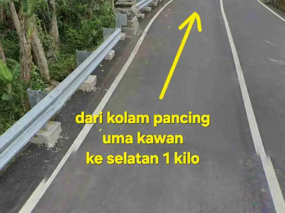 Jual Tanah kebun 33,6are jalan 8 aspal di Payangan Gianyar Ubud Bali - Thumbnail 9