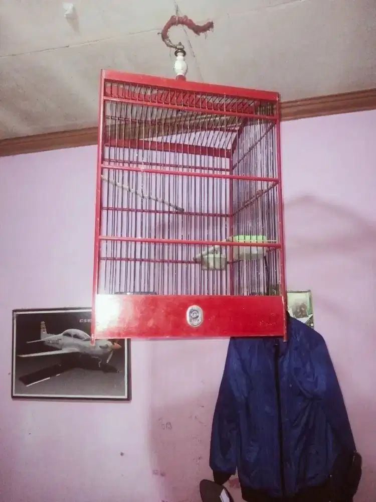 Sangkar kotak Ebod jaya