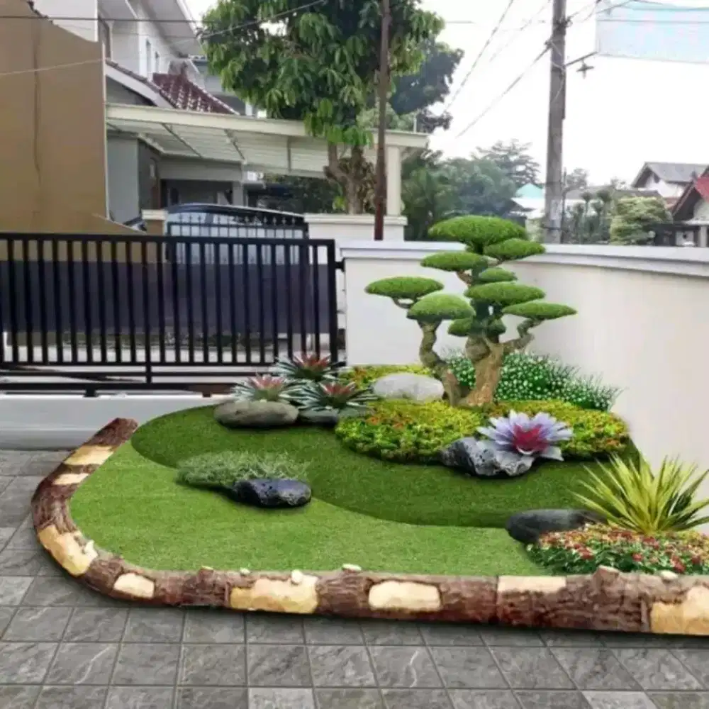 Jual rumput hias varigata dan gajah mini