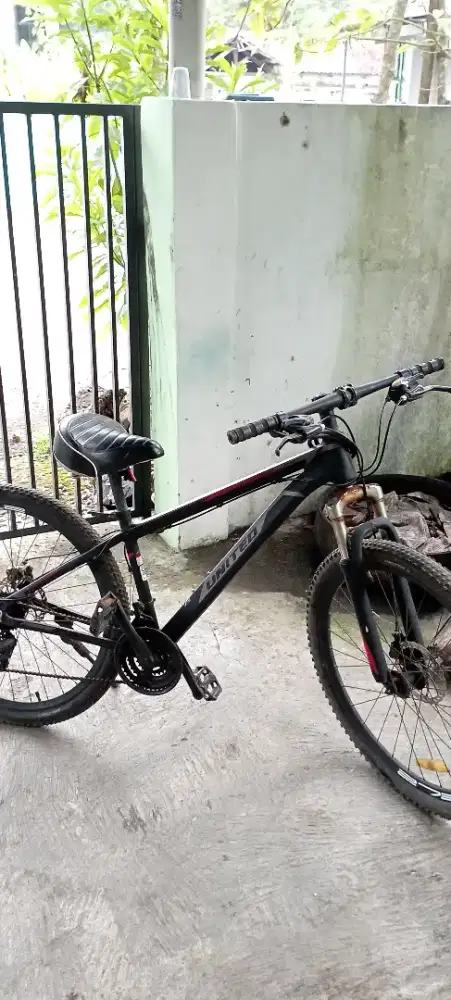 Sepeda united detroit 1.0