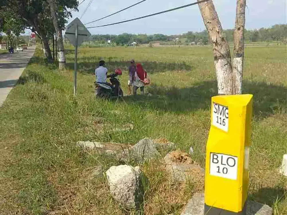DIJUAL TANAH LUAS TEPI JALAN RAYA PURWODADI BLORA STRATEGIS