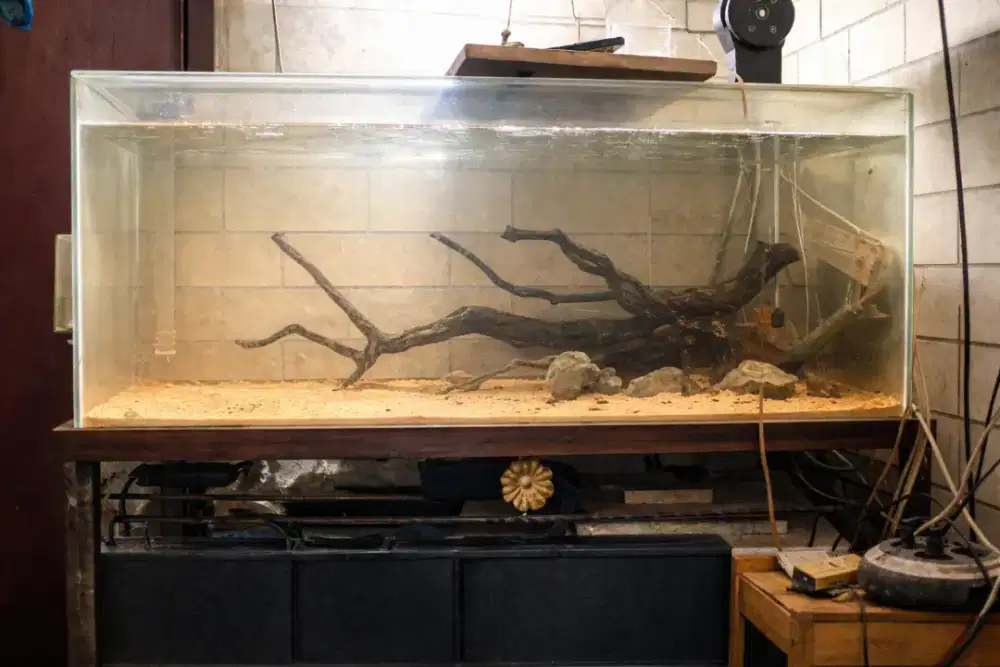 Aquarium set (aquarium + rak + sump filter)