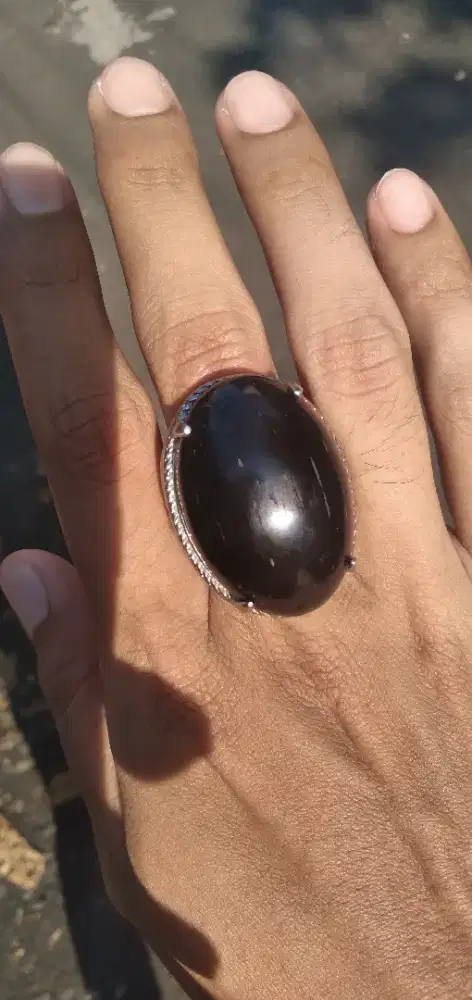 batu fosil galeh kelor jumbo