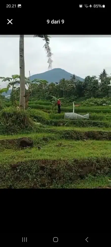 DIJUAL TANAH SUMBER MATA AIR VIEW GN CERMAI