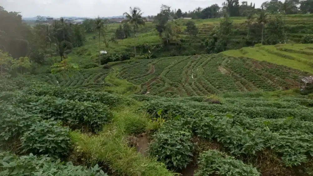 DIJUAL TANAH SUMBER MATA AIR VIEW GN CERMAI