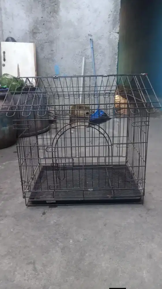 Kandang kucing UK 60 besi tebel