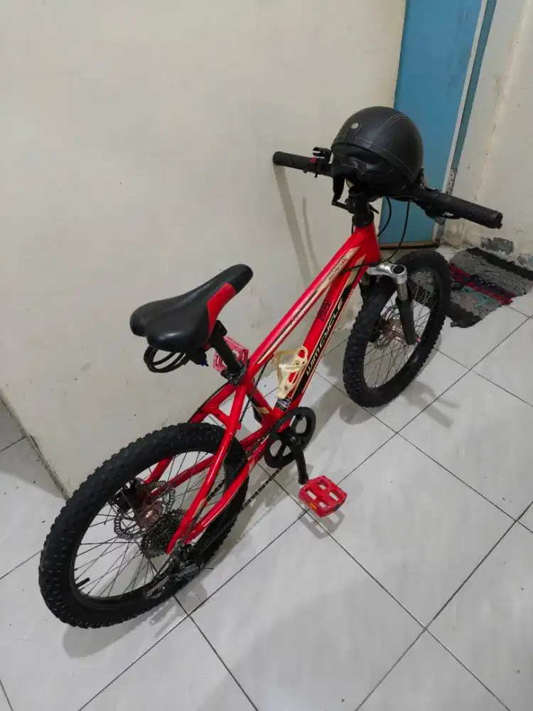 Sepeda bekas anak ukuran 20 masih bagus