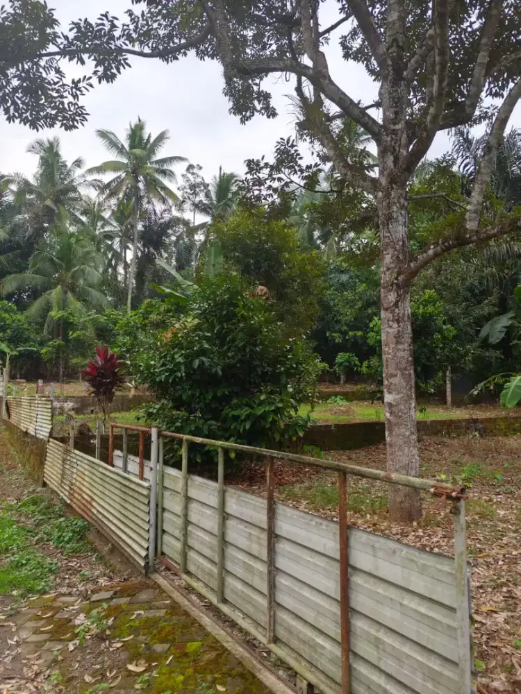 Dijual tanah untuk villa atau berkebun