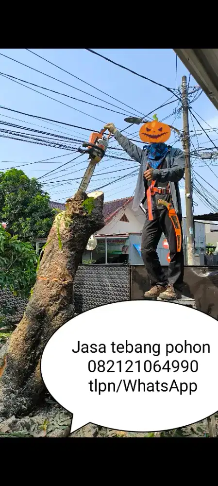 Mesin stihl tebang pohon