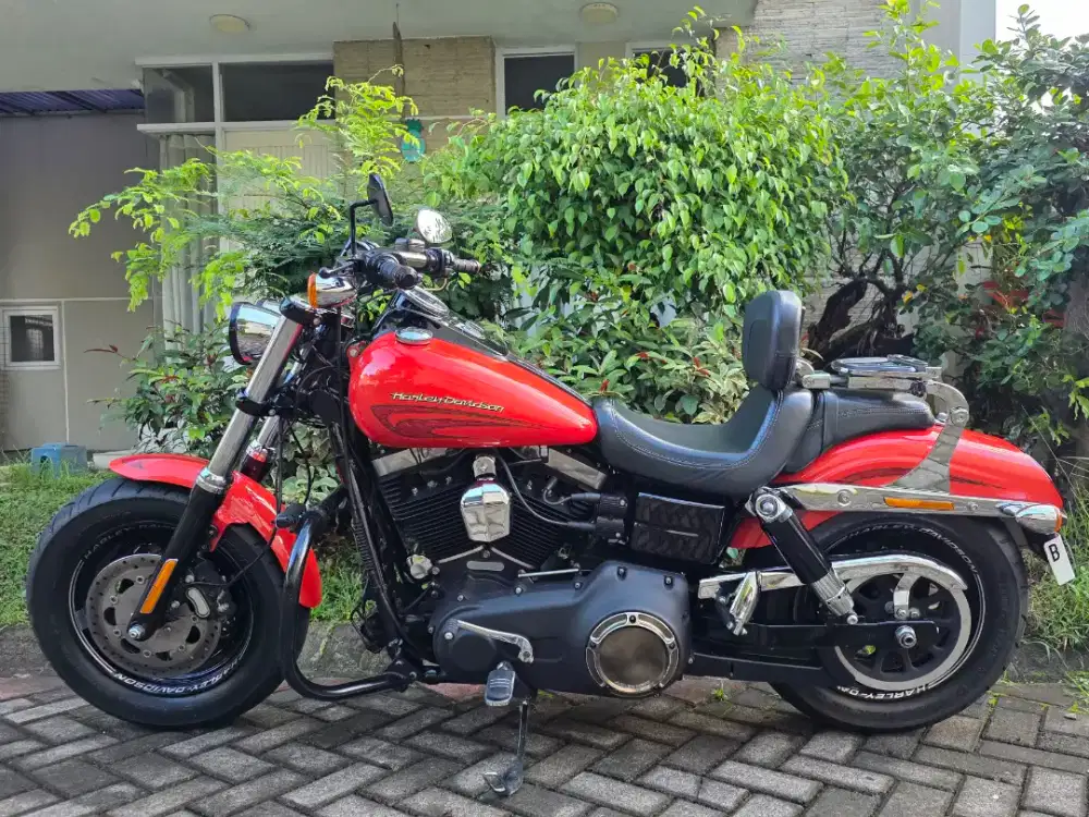 HD Dyna fat bob 103 Rare colors top 2017