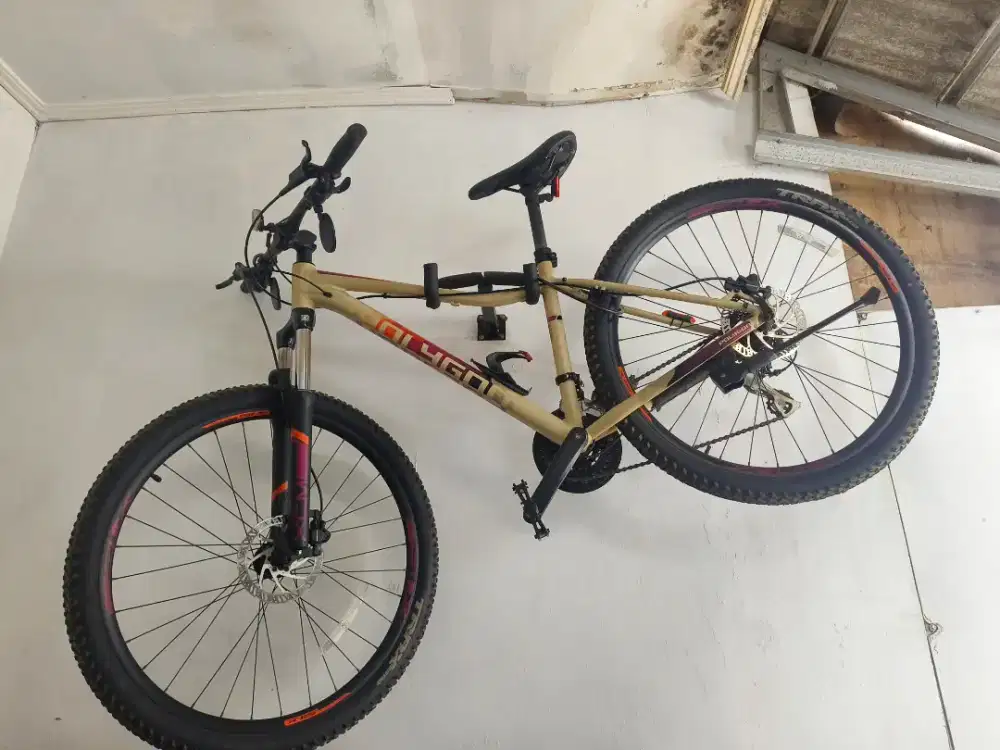 Polygon cleo 2 size S