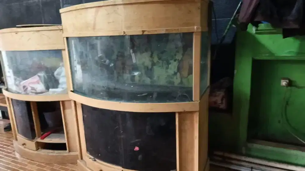 DIJUAL SET AKUARIUM 120CM & 100CM KACA LENGKUNG + LEMARI KABINET KOKOH