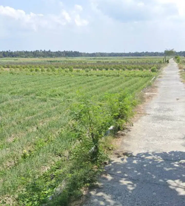 Jual tanah sawah pinggir jalan cor, akses mobil, 450.000/m nego. Langs