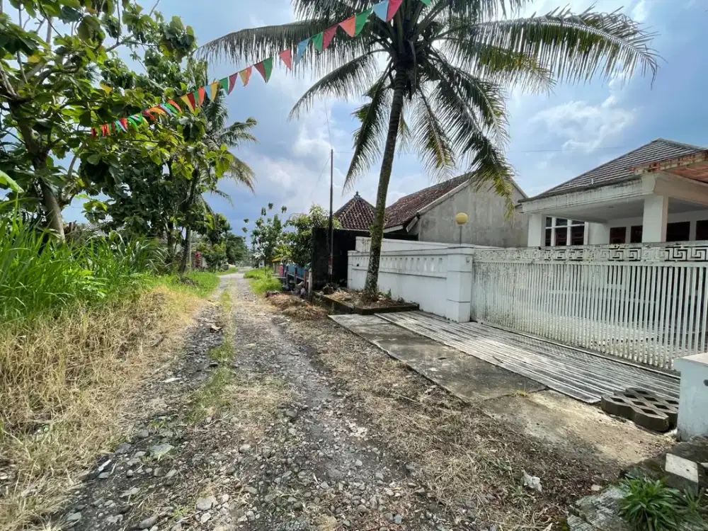 dijual tanah sawah 50 meter jl raya donoharjo jl palagan km 12 cocok untuk villa homestay hunian pensiunan