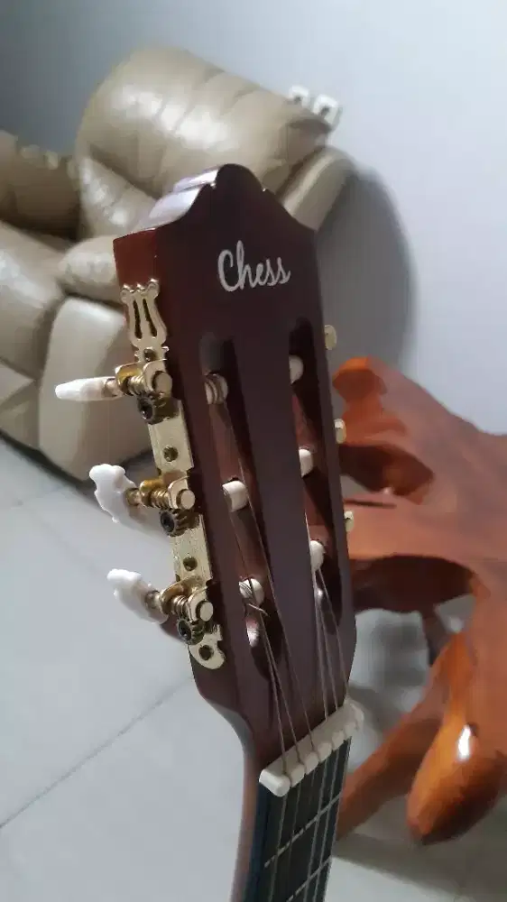 Gitar acuatik clasik chees