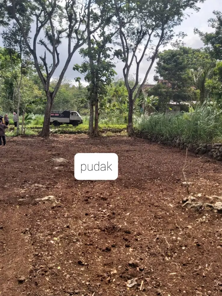 Tanah Kavling Strategis Donorojo, Kabupaten Pacitan [NEGO]