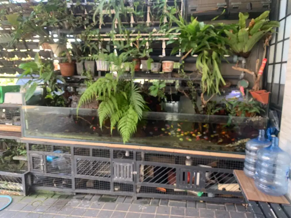 Paludarium bekas