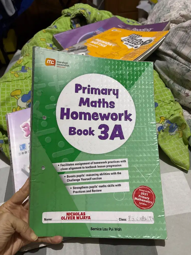 Primary Maths Homework 3A