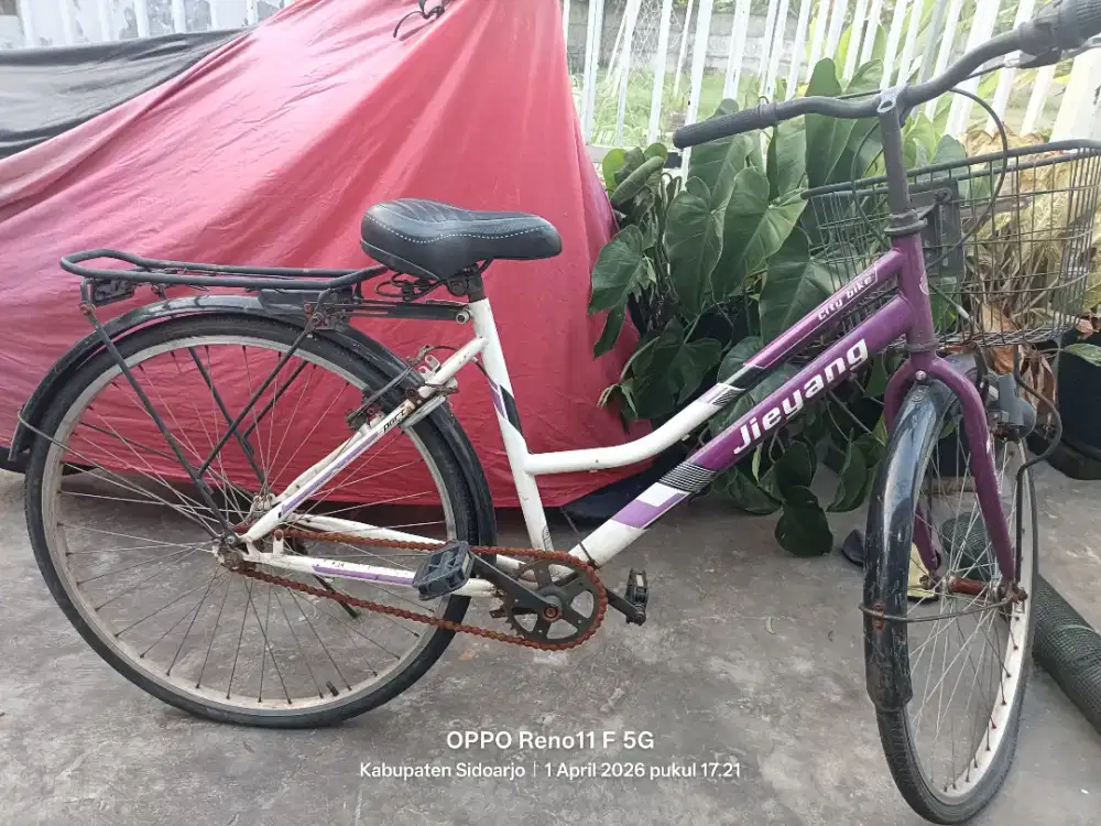 Sepeda mini jieyang bekas