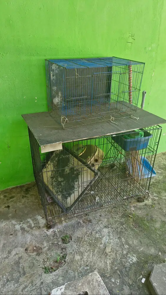 Dijual kandang kucing