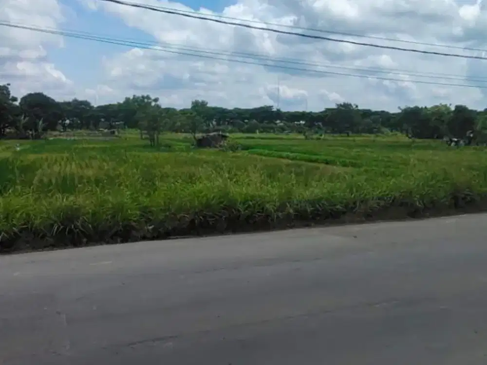 LDP 0099 Dijual Harga Bawah Pasar Tanah Strategis Area Sambikerep Surabaya Barat Cocok Untuk Gudang, Ruko Dsb